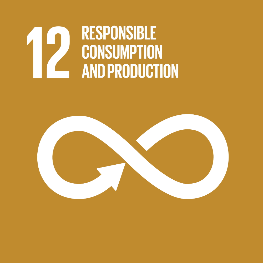 UN Sustainable Development Goal 12 — Responsible Consumption and Production